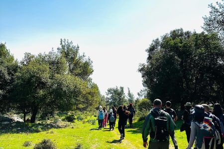 Weekly Hike with a Local Group